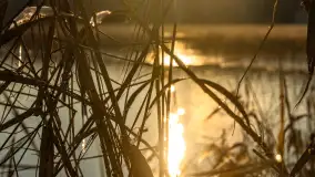 Most Sztynorcki, jeziora Dargin i Kirsajty w zimowej odsłonie, listopad 2023 r. - zdjęcie 33