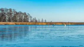 Most Sztynorcki, jeziora Dargin i Kirsajty w zimowej odsłonie, listopad 2023 r. - zdjęcie 31