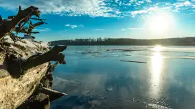 Most Sztynorcki, jeziora Dargin i Kirsajty w zimowej odsłonie, listopad 2023 r. - zdjęcie 28