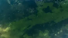 Most Sztynorcki, jeziora Dargin i Kirsajty w zimowej odsłonie, listopad 2023 r. - zdjęcie 22