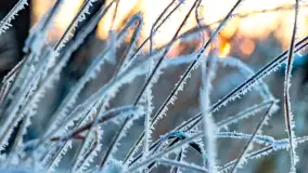 Zimowy zachód słońca nad jeziorem Mój, listopad 2023 r. - zdjęcie 29