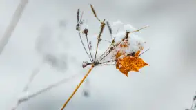 Zwalony most w Kruklankach w zimowej scenerii... bez słońca, listopad 2023 r. - zdjęcie 11