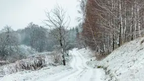 Zwalony most w Kruklankach w zimowej scenerii... bez słońca, listopad 2023 r. - zdjęcie 14