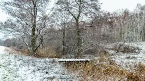 Zwalony most w Kruklankach w zimowej scenerii... bez słońca, listopad 2023 r. - zdjęcie 17