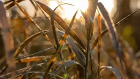 Jesienny biwak ekipy Mazury24 nad Darginem, listopad 2023 r. - zdjęcie 33