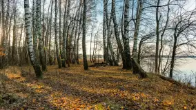 Jesienny biwak ekipy Mazury24 nad Darginem, listopad 2023 r. - zdjęcie 29