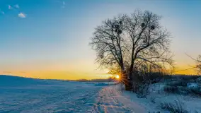 Wschód słońca w okolicach wsi Podlasie, grudzień 2023 r. - zdjęcie 1