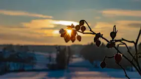 Wschód słońca w okolicach wsi Podlasie, grudzień 2023 r. - zdjęcie 36