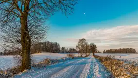 Wschód słońca w okolicach wsi Podlasie, grudzień 2023 r. - zdjęcie 13