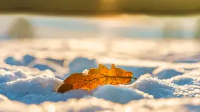 Wschód słońca w okolicach wsi Podlasie, grudzień 2023 r. - zdjęcie 18