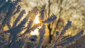 Zimowy poranek w okolicach Wopławek k/Kętrzyna - zdjęcie 6