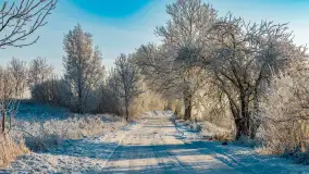 Zimowy poranek w okolicach Wopławek k/Kętrzyna - zdjęcie 30