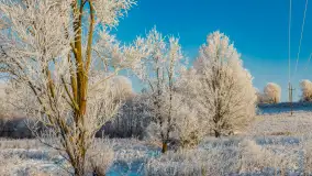 Zimowy poranek w okolicach Wopławek k/Kętrzyna - zdjęcie 16