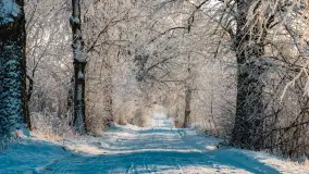 Zimowy poranek w okolicach Wopławek k/Kętrzyna - zdjęcie 21