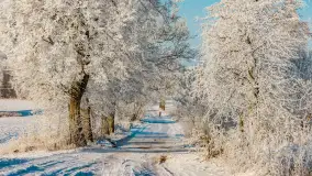 Zimowy poranek w okolicach Wopławek k/Kętrzyna - zdjęcie 23