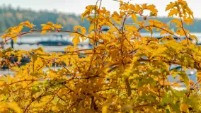 Jesień w Mazurskim Raju nad jeziorem Bełdany, listopad 2023 r. - zdjęcie 27