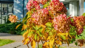 Jesień w Mazurskim Raju nad jeziorem Bełdany, listopad 2023 r. - zdjęcie 20