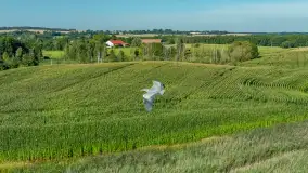 Zwierzęta i ptaki na zdjęciach z szuflady, 2023 rok - zdjęcie 32