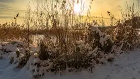 Zimowo i przed zachodem słońca na przystani Harsz Zdorkowo - zdjęcie 18