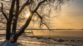 Uroki zimy nad jeziorem Dargin w porcie Dziki Harsz - zdjęcie 6
