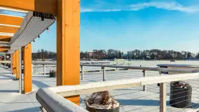 Stranda w mrozie i śniegu, styczeń 2024 r. - zdjęcie 31