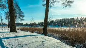 Stranda w mrozie i śniegu, styczeń 2024 r. - zdjęcie 40