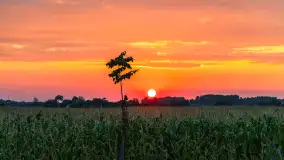 Zachód słońca na wschodnich obrzeżach Kętrzyna, sierpień 2023 r. - zdjęcie 19