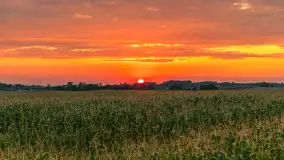 Zachód słońca na wschodnich obrzeżach Kętrzyna, sierpień 2023 r. - zdjęcie 9