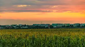 Zachód słońca na wschodnich obrzeżach Kętrzyna, sierpień 2023 r. - zdjęcie 5