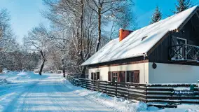 Zima nad jeziorem Dziewiszewskie w Dziewiszowie, styczeń 2024 r. - zdjęcie 1