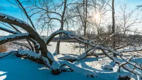 Zima nad jeziorem Dziewiszewskie w Dziewiszowie, styczeń 2024 r. - zdjęcie 9