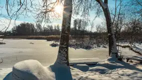 Zima nad jeziorem Dziewiszewskie w Dziewiszowie, styczeń 2024 r. - zdjęcie 41