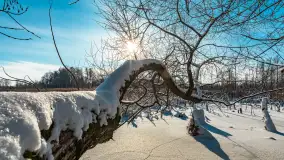 Zima nad jeziorem Dziewiszewskie w Dziewiszowie, styczeń 2024 r. - zdjęcie 14