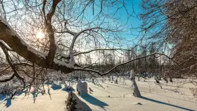 Zima nad jeziorem Dziewiszewskie w Dziewiszowie, styczeń 2024 r. - zdjęcie 38