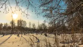 Zima nad jeziorem Dziewiszewskie w Dziewiszowie, styczeń 2024 r. - zdjęcie 32