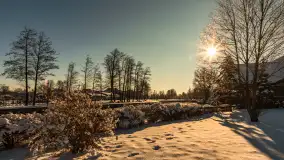 Pisz w zimowej scenerii, styczeń 2024 r. - zdjęcie 25