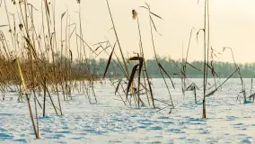 Jezioro Tajty i wieś Wrony przed zachodem słońca, styczeń 2024 r. - zdjęcie 25