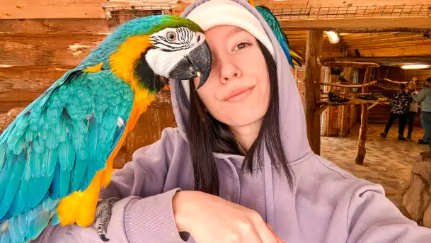 Zdjęcia: Odkryj Niezwykłe Zimowe Ferie w Papugarni Mazury! - zdjęcie 2