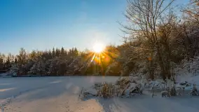 Zimowa rzeka Dajna niedaleko Wilkowa, styczeń 2024 r. - zdjęcie 31