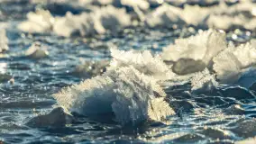 Zimowa rzeka Dajna niedaleko Wilkowa, styczeń 2024 r. - zdjęcie 39