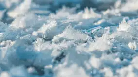 Zimowa rzeka Dajna niedaleko Wilkowa, styczeń 2024 r. - zdjęcie 17