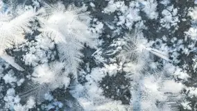 Zimowa rzeka Dajna niedaleko Wilkowa, styczeń 2024 r. - zdjęcie 45