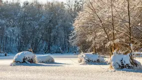 Zimowa rzeka Dajna niedaleko Wilkowa, styczeń 2024 r. - zdjęcie 12