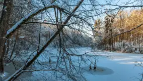 Zimowa rzeka Dajna niedaleko Wilkowa, styczeń 2024 r. - zdjęcie 42