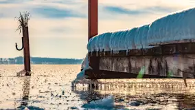 Zimowe jezioro Gołdopiwo w okolicach Przerwanek, styczeń 2024 r. - zdjęcie 51