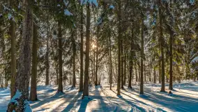 Zimowe jezioro Gołdopiwo w okolicach Przerwanek, styczeń 2024 r. - zdjęcie 14