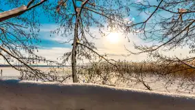 Zimowe jezioro Gołdopiwo w okolicach Przerwanek, styczeń 2024 r. - zdjęcie 13