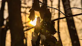 Zimowe jezioro Gołdopiwo w okolicach Przerwanek, styczeń 2024 r. - zdjęcie 38