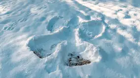 Zimowe jezioro Gołdopiwo w okolicach Przerwanek, styczeń 2024 r. - zdjęcie 50