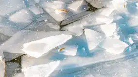 Zimowe jezioro Gołdopiwo w okolicach Przerwanek, styczeń 2024 r. - zdjęcie 24